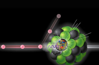 Illustration depicting a beam of electrons scattering off a beam of protons or atomic nuclei, generating virtual photons.