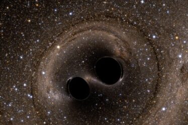 A computer simulation shows the collision of two black holes, detected for the first time by the Laser Interferometer Gravitational-Wave Observatory (LIGO) in 2015.