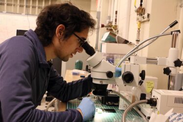 Photo of a man looking into a microscope in a laboratory