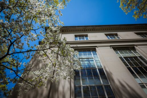 tree blooms in front of MIT Building 6